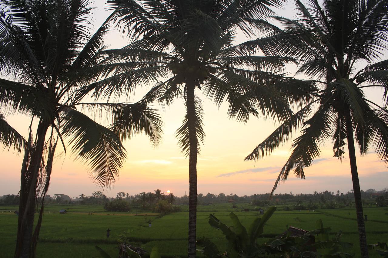 Uma Capung Mas Cottage Ubud  Ngoại thất bức ảnh